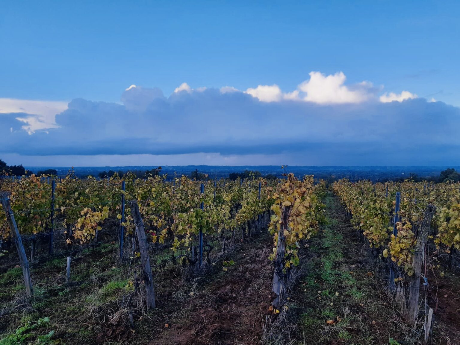 Uitdagingen en triomfen: de jaargang 2023 in Bordeaux