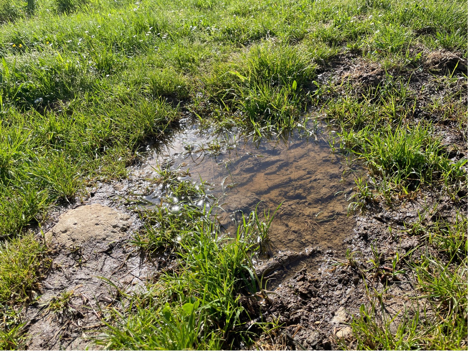 Water en regen – te weinig of te veel, maar nooit precies goed?