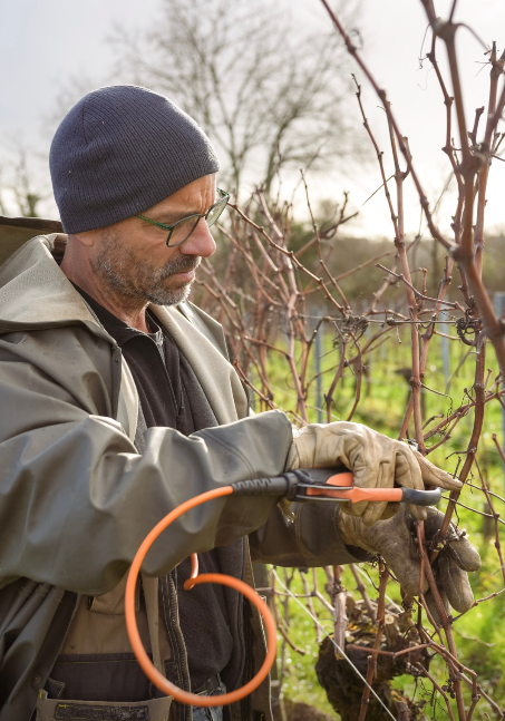 Begin 2025 – op weg naar een veelbelovende start