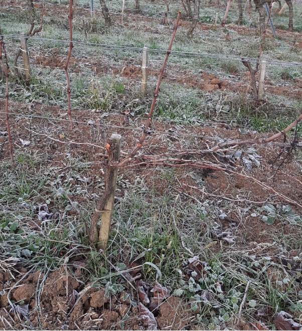 Winterwerkzaamheden Na de oogst is vóór de oogst